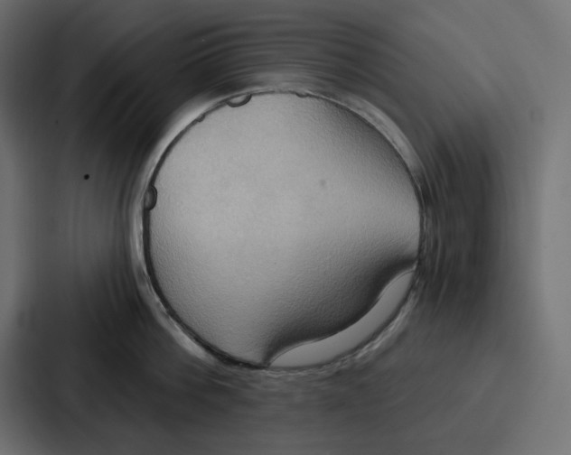 X0000086750812200705111653