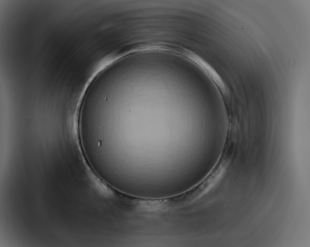 X0000086750813200705111653
