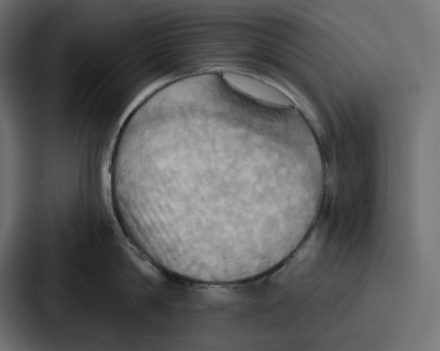 X0000086750814200705111653