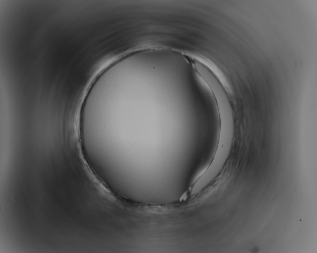 X0000086750815200705111653