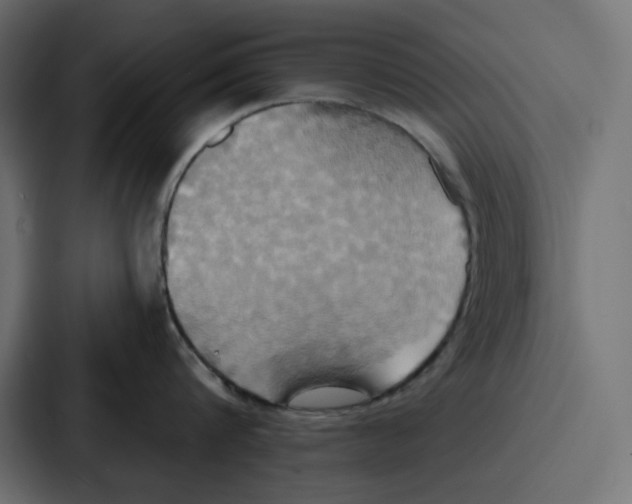 X0000086750816200705111653