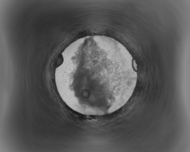 X0000086750817200705111653