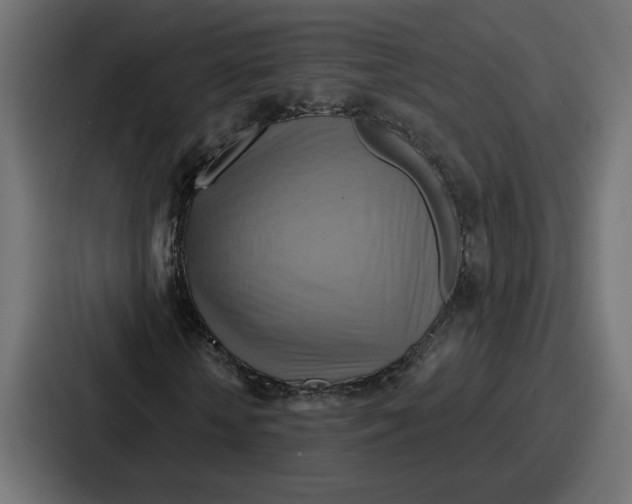 X0000086750818200705111653