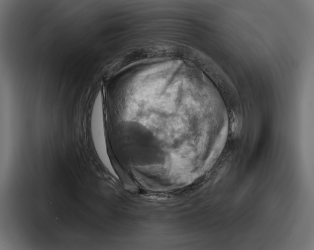 X0000086750819200705111653