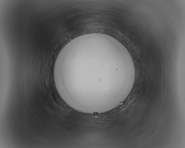X0000086750820200705111653