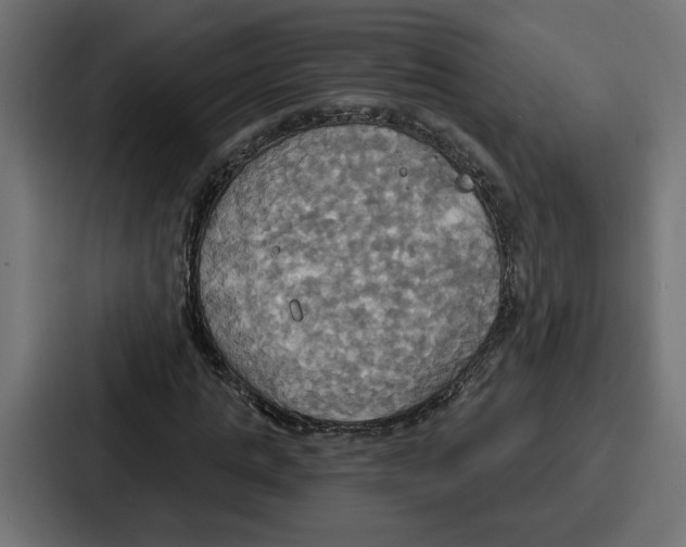X0000086750821200705111653