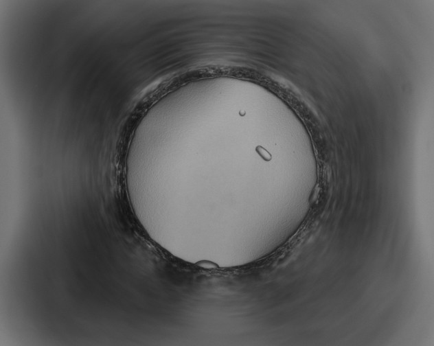 X0000086750822200705111653
