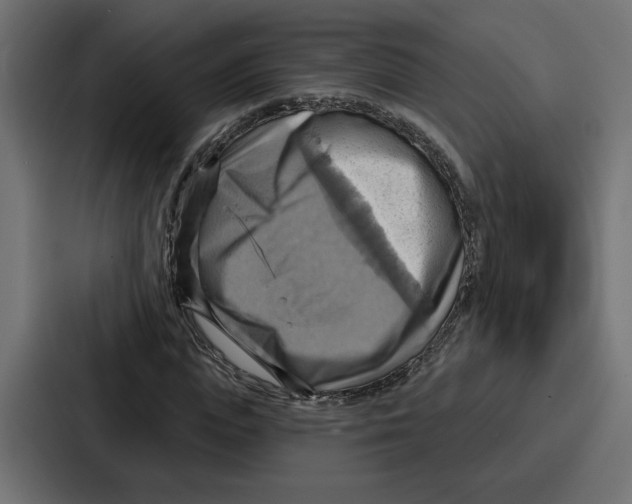 X0000086750823200705111653