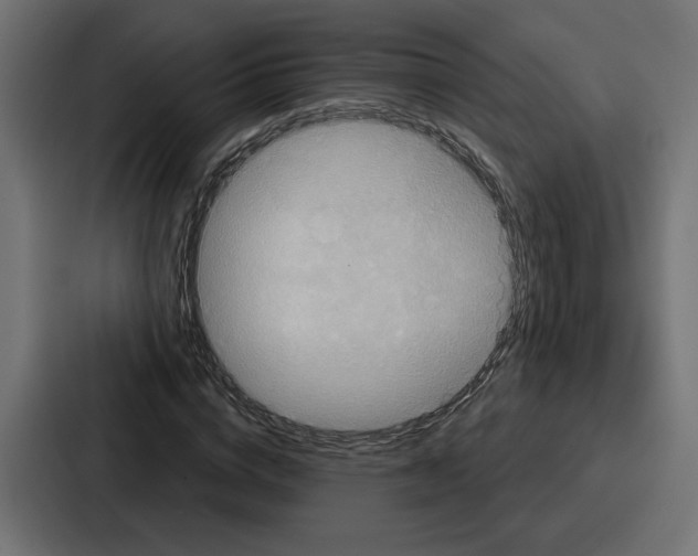 X0000086750824200705111653