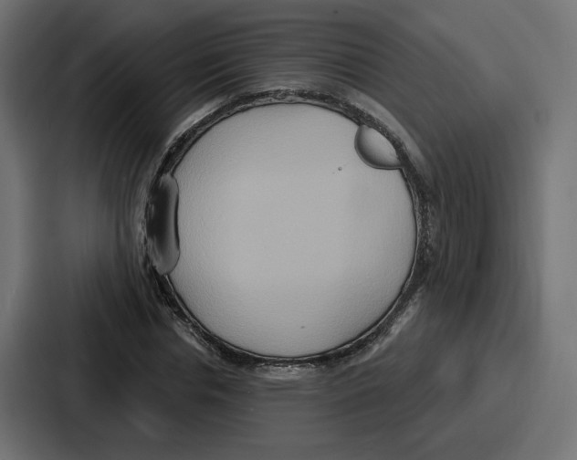 X0000086750826200705111653