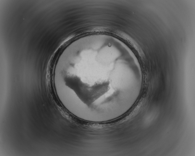 X0000086750827200705111653