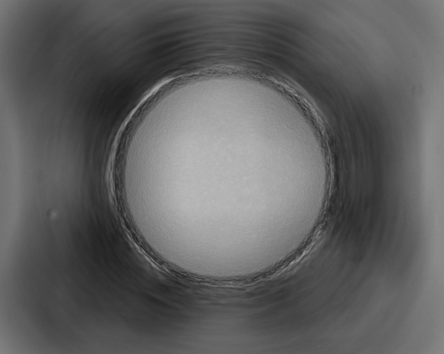 X0000086750828200705111653