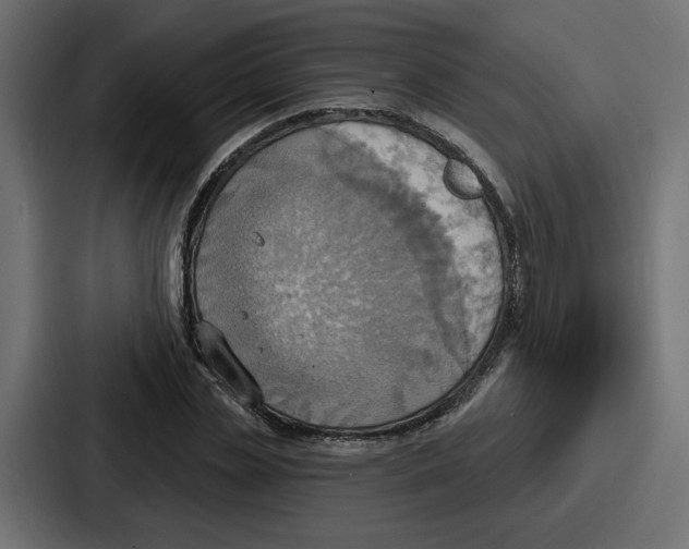X0000086750829200705111653