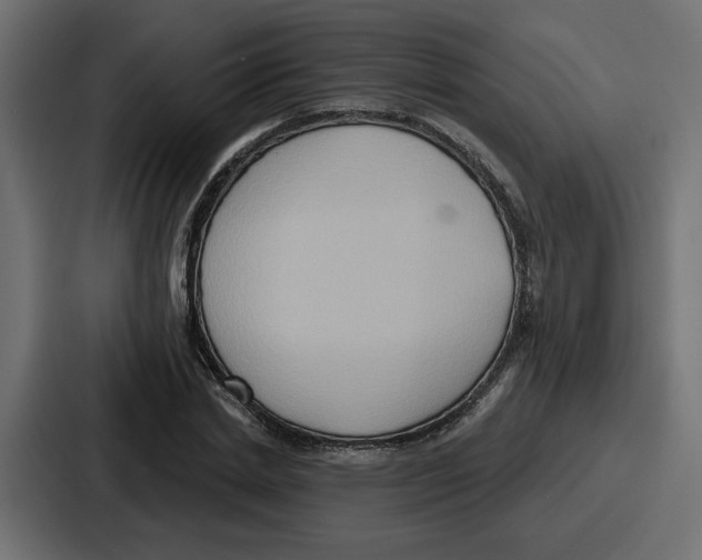X0000086750830200705111653