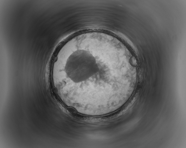 X0000086750831200705111653