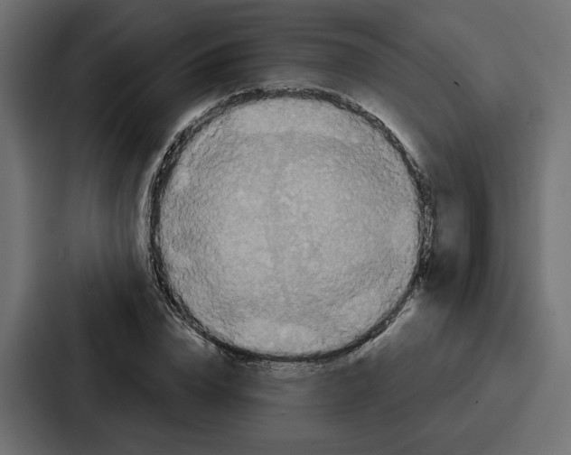 X0000086750832200705111653