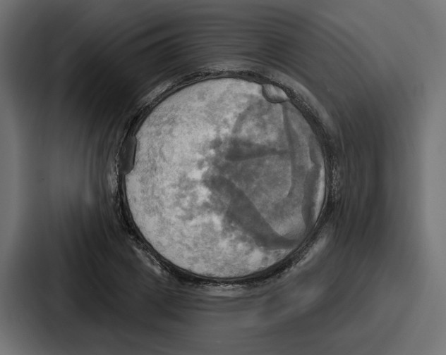 X0000086750833200705111653