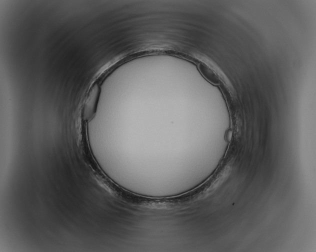 X0000086750834200705111653