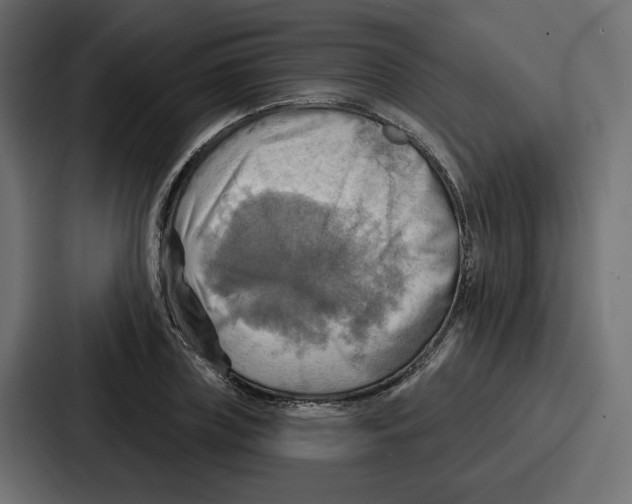 X0000086750835200705111653