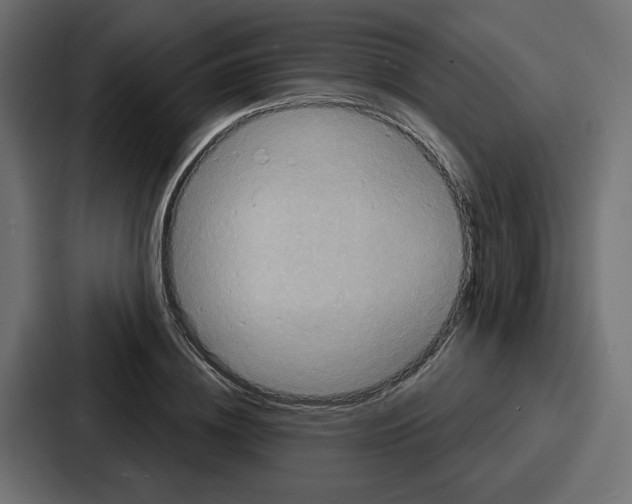 X0000086750836200705111653