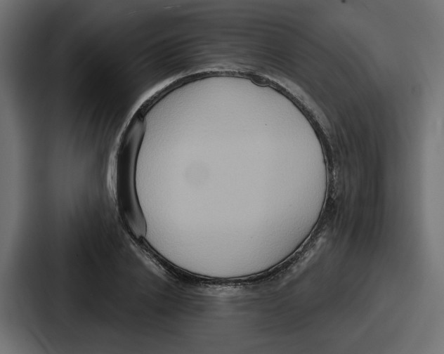 X0000086750838200705111653