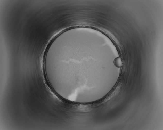 X0000086750839200705111653