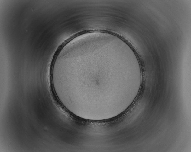 X0000086750840200705111653