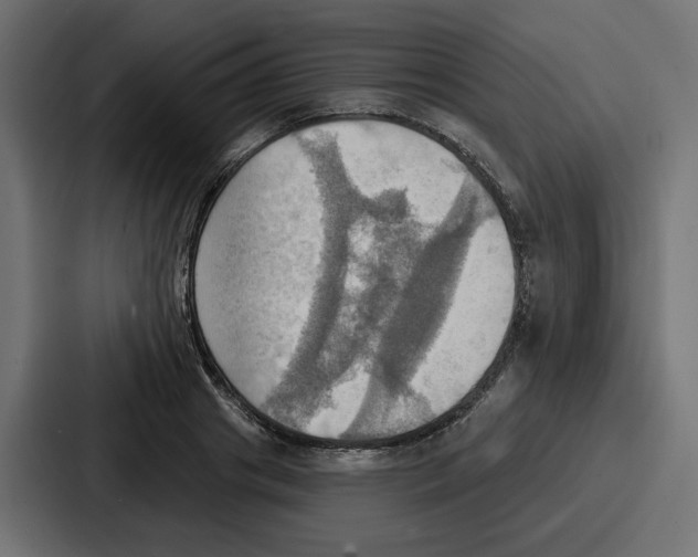 X0000086750841200705111653