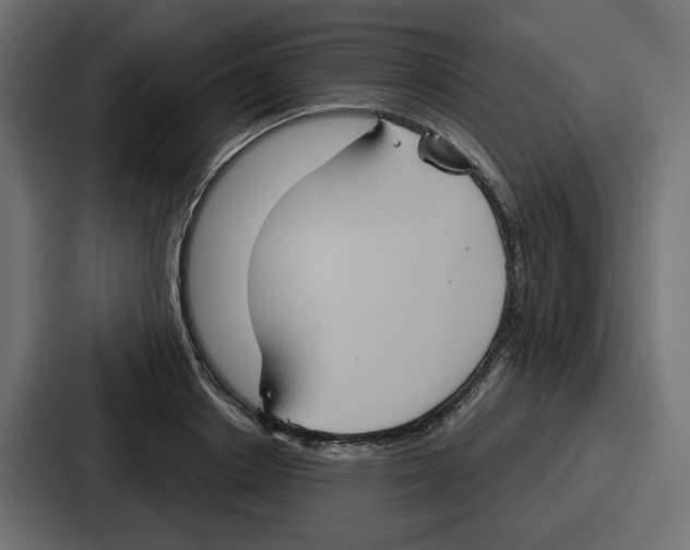 X0000086750842200705111653