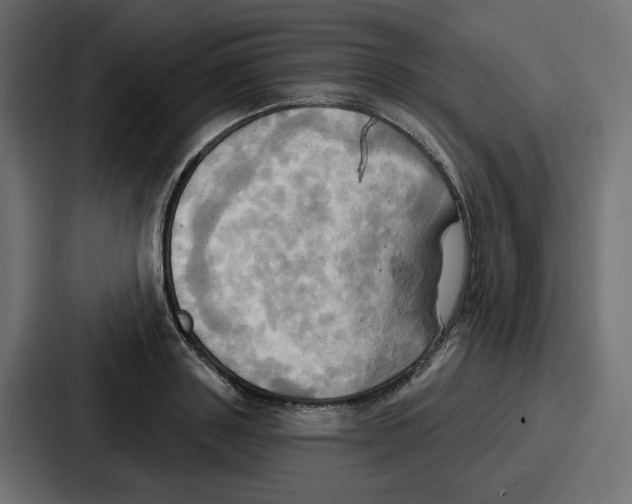 X0000086750843200705111653
