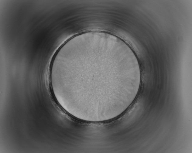 X0000086750844200705111653