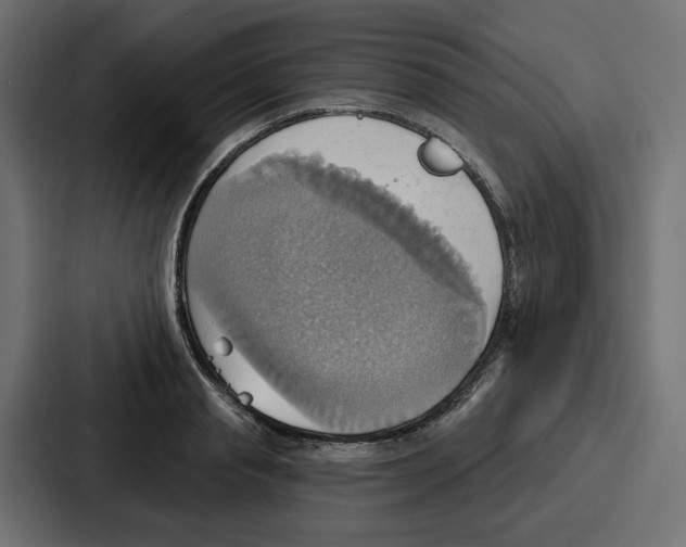 X0000086750845200705111653