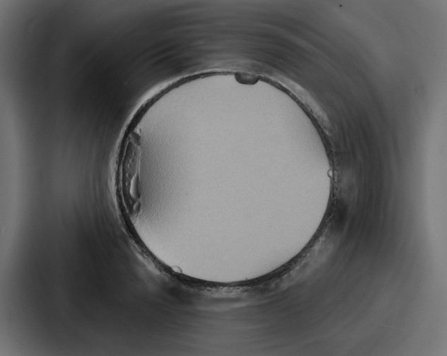 X0000086750846200705111653