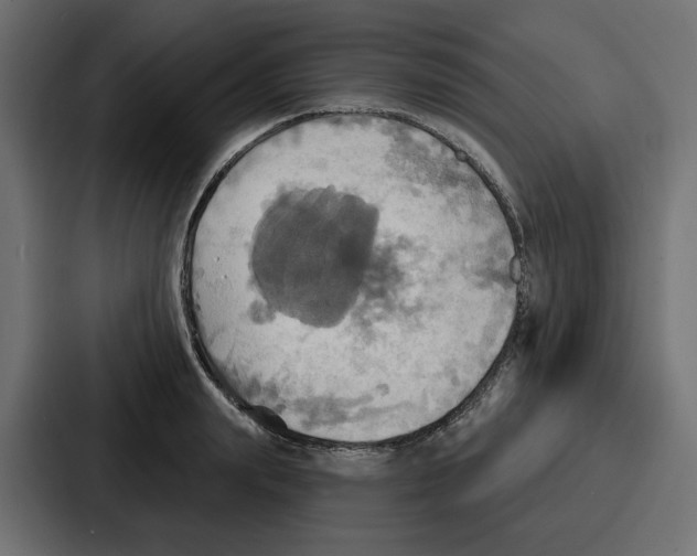 X0000086750847200705111653