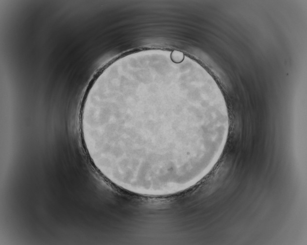 X0000086750848200705111653