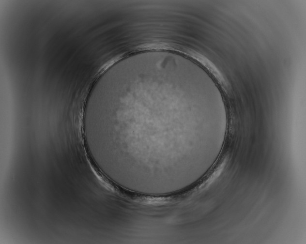 X0000086750849200705111653