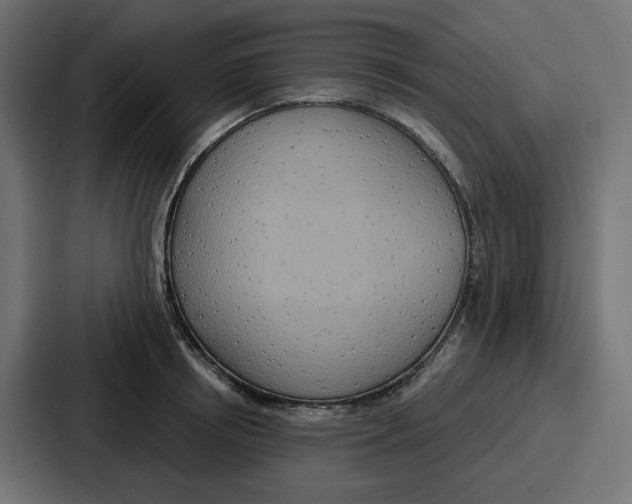 X0000086750850200705111653