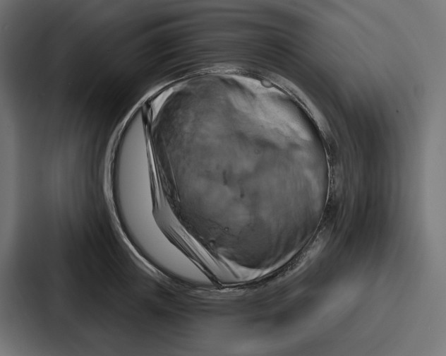 X0000086750851200705111653