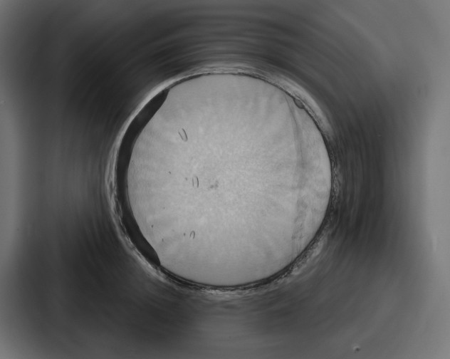 X0000086750852200705111653