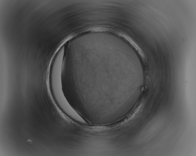 X0000086750853200705111653