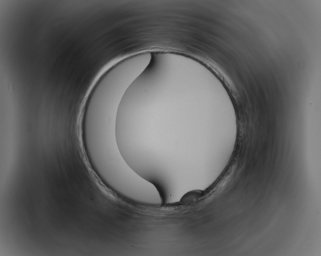 X0000086750854200705111653