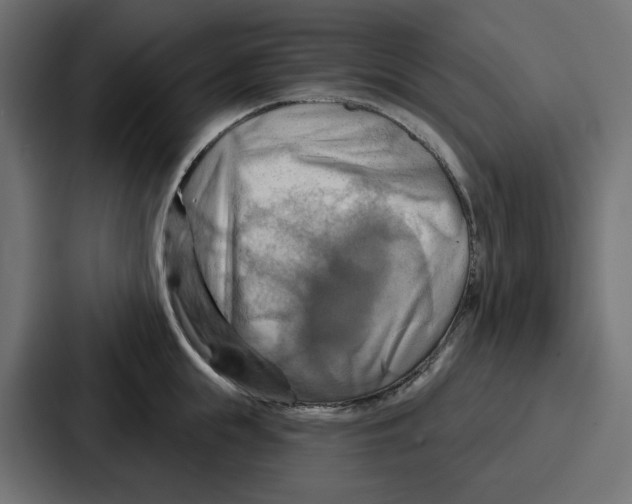 X0000086750855200705111653