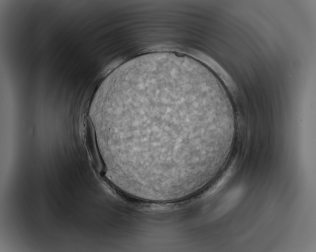 X0000086750857200705111653