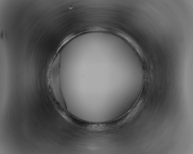 X0000086750858200705111653