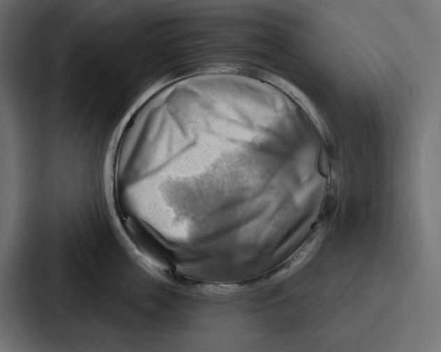 X0000086750859200705111653