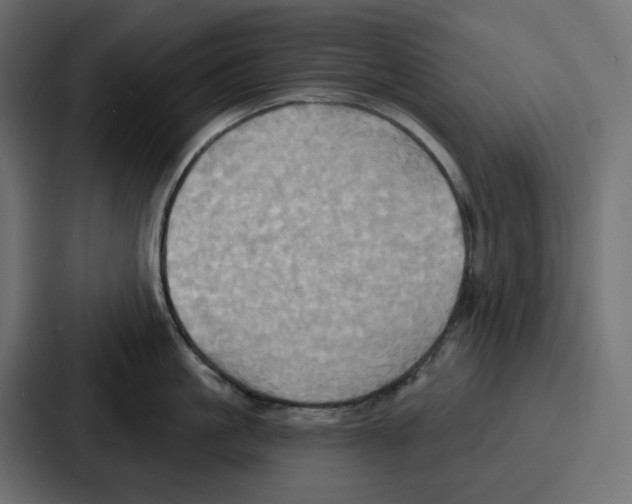 X0000086750861200705111653