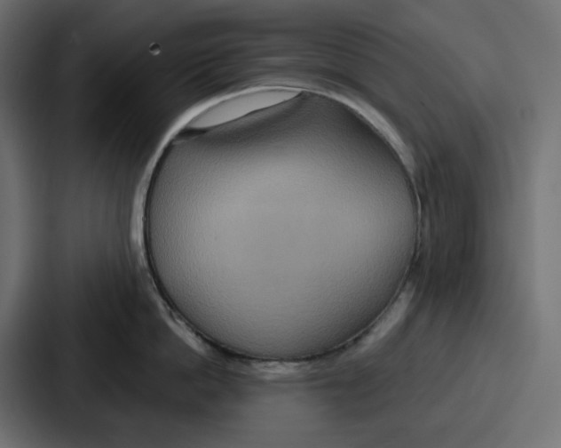 X0000086750862200705111653
