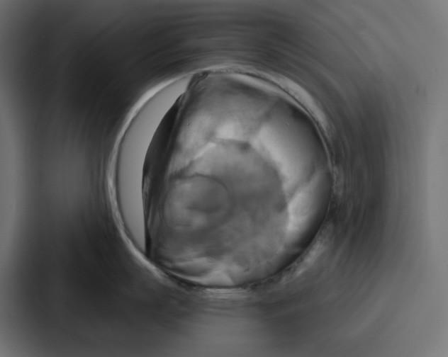 X0000086750863200705111653