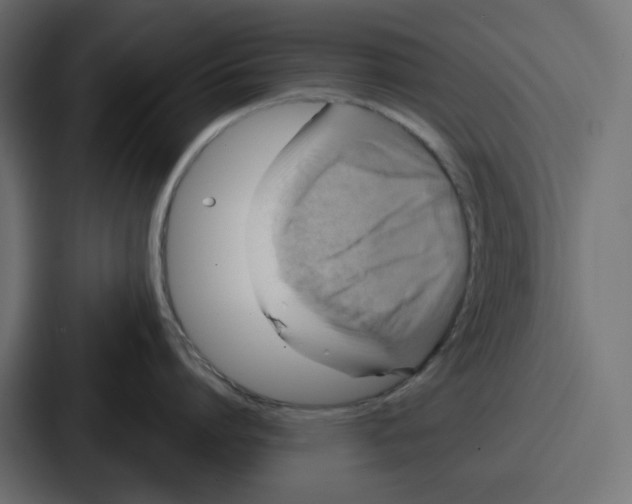 X0000086750864200705111653