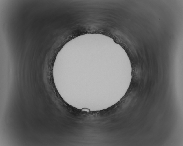 X0000086750865200705111653